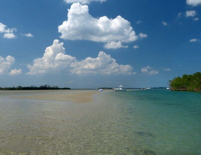 Click to See Next Image